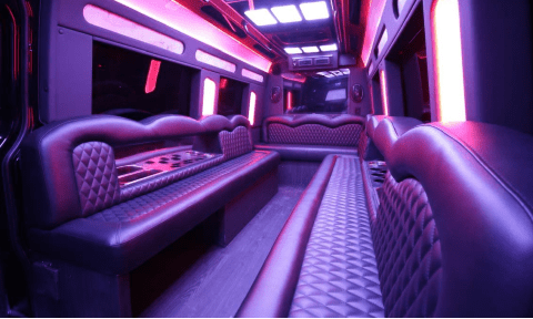Davie 14 Passenger Sprinter Bus Interior